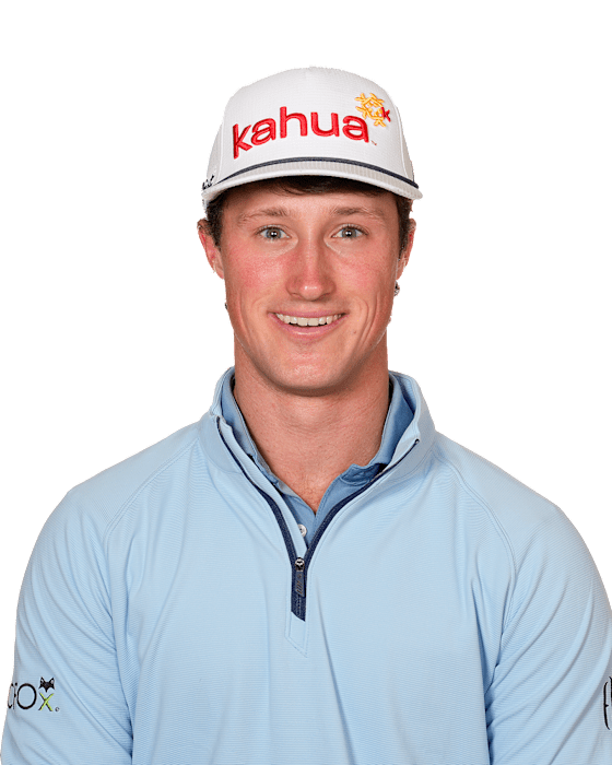 Ford, David professional golfer.