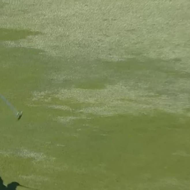 Louis Oosthuizen Pga Tour Profile News Stats And Videos