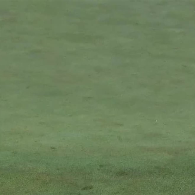 Louis Oosthuizen Pga Tour Profile News Stats And Videos