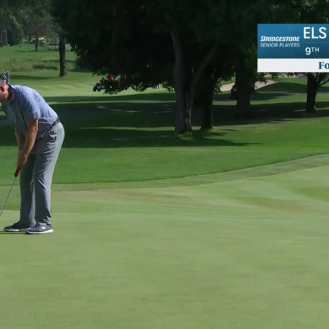 Ernie Els PGA TOUR Profile News Stats and Videos