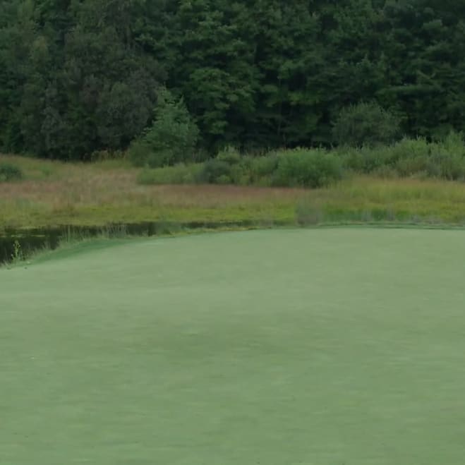 Danny Lee PGA TOUR Profile News, Stats, and Videos