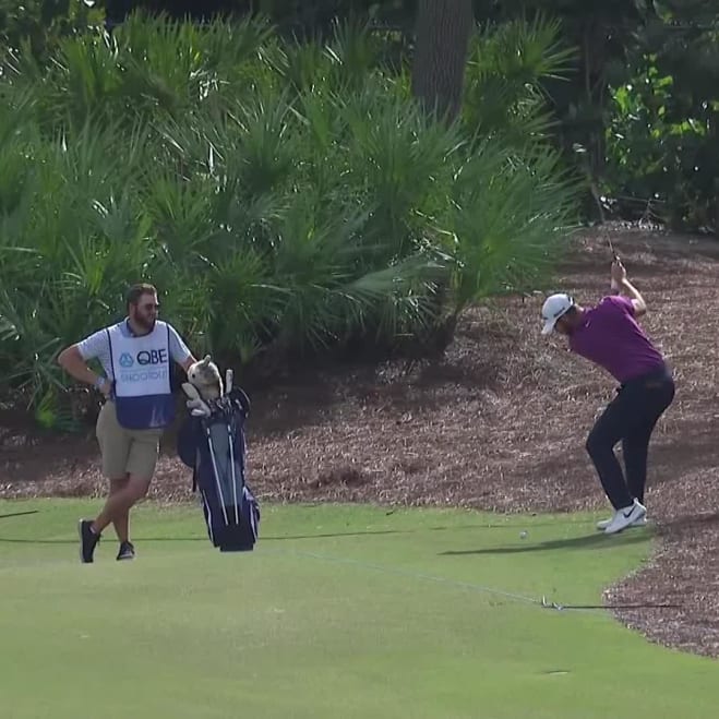 Matthew Wolff PGA TOUR Profile - News, Stats, and Videos