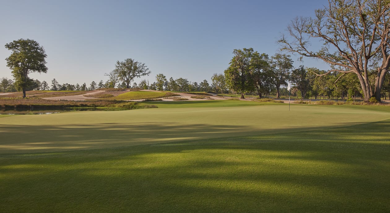 Palmetto championship at congaree volunteer clearance