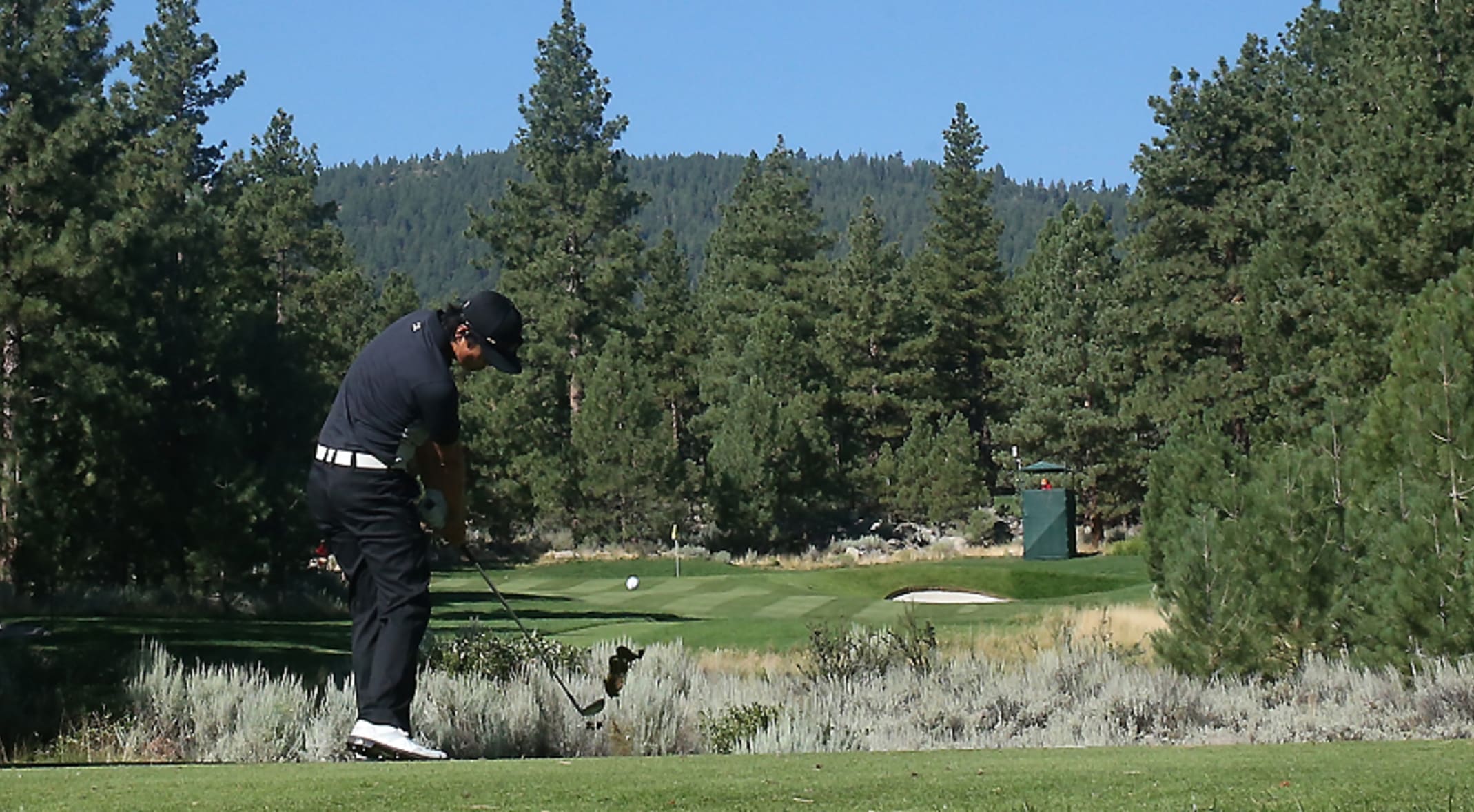 Barracuda reno tahoe open clearance