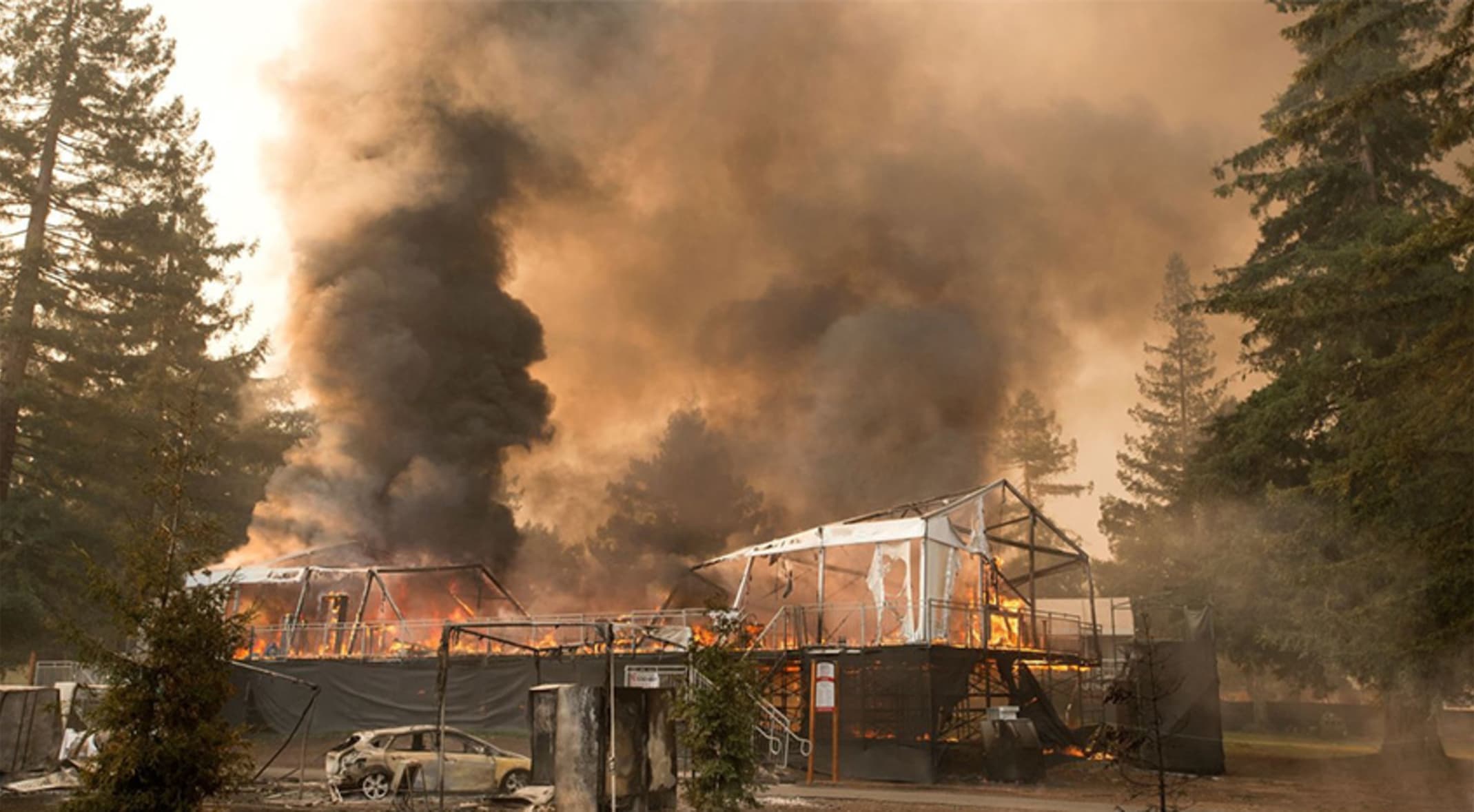 Safeway Open Course Rebounds After Historic Wildfires