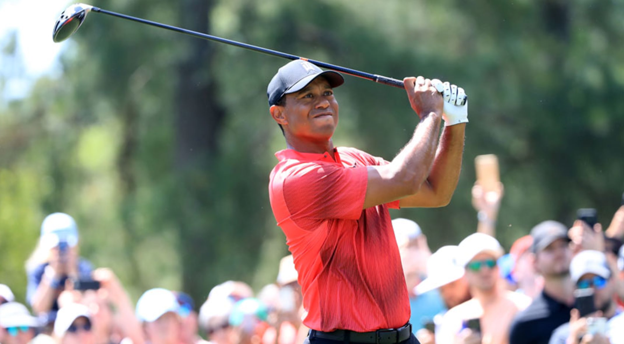 Tiger Woods Announces First Two Starts Of 2019