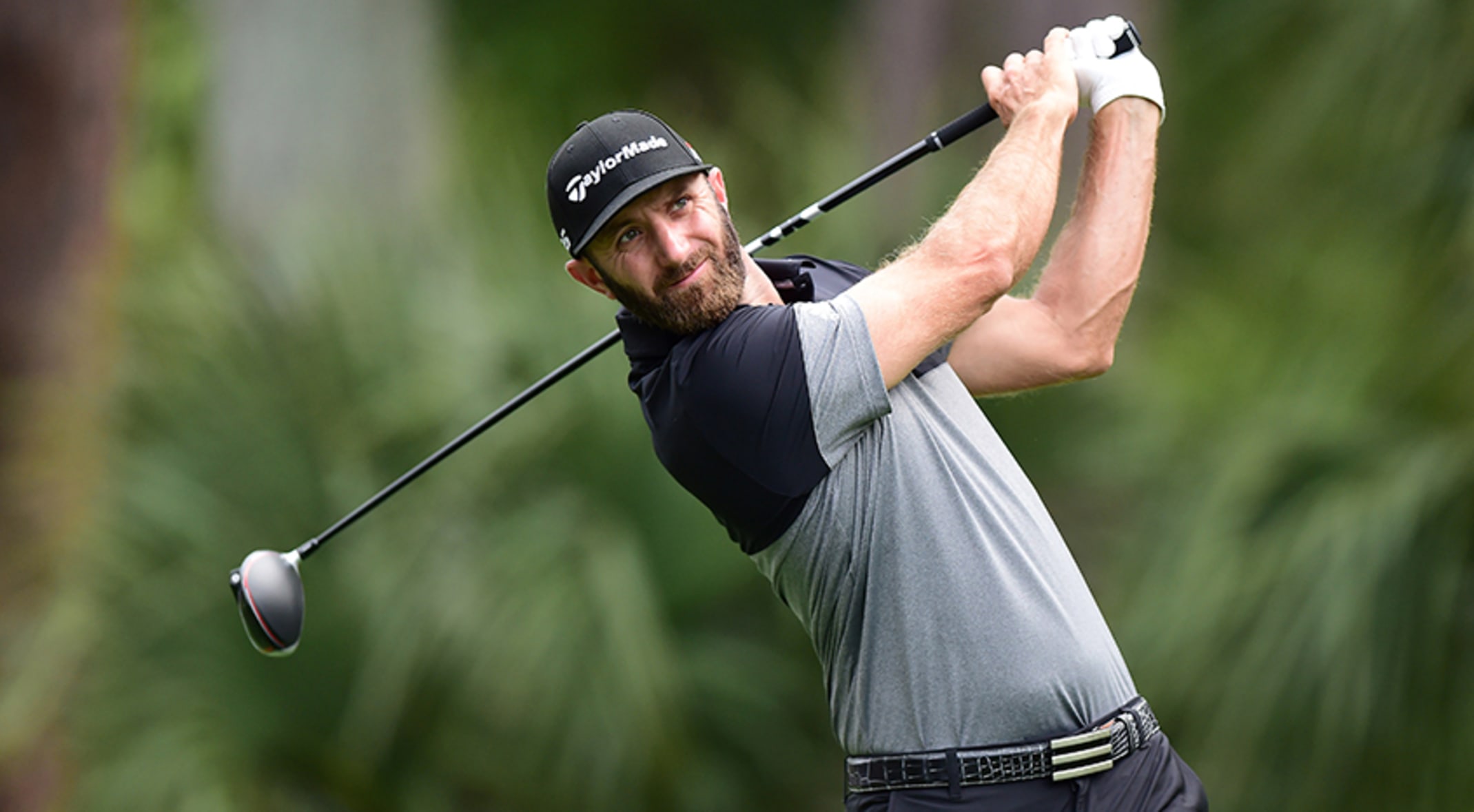 Dustin Johnson Getting Comfortable With Harbour Town