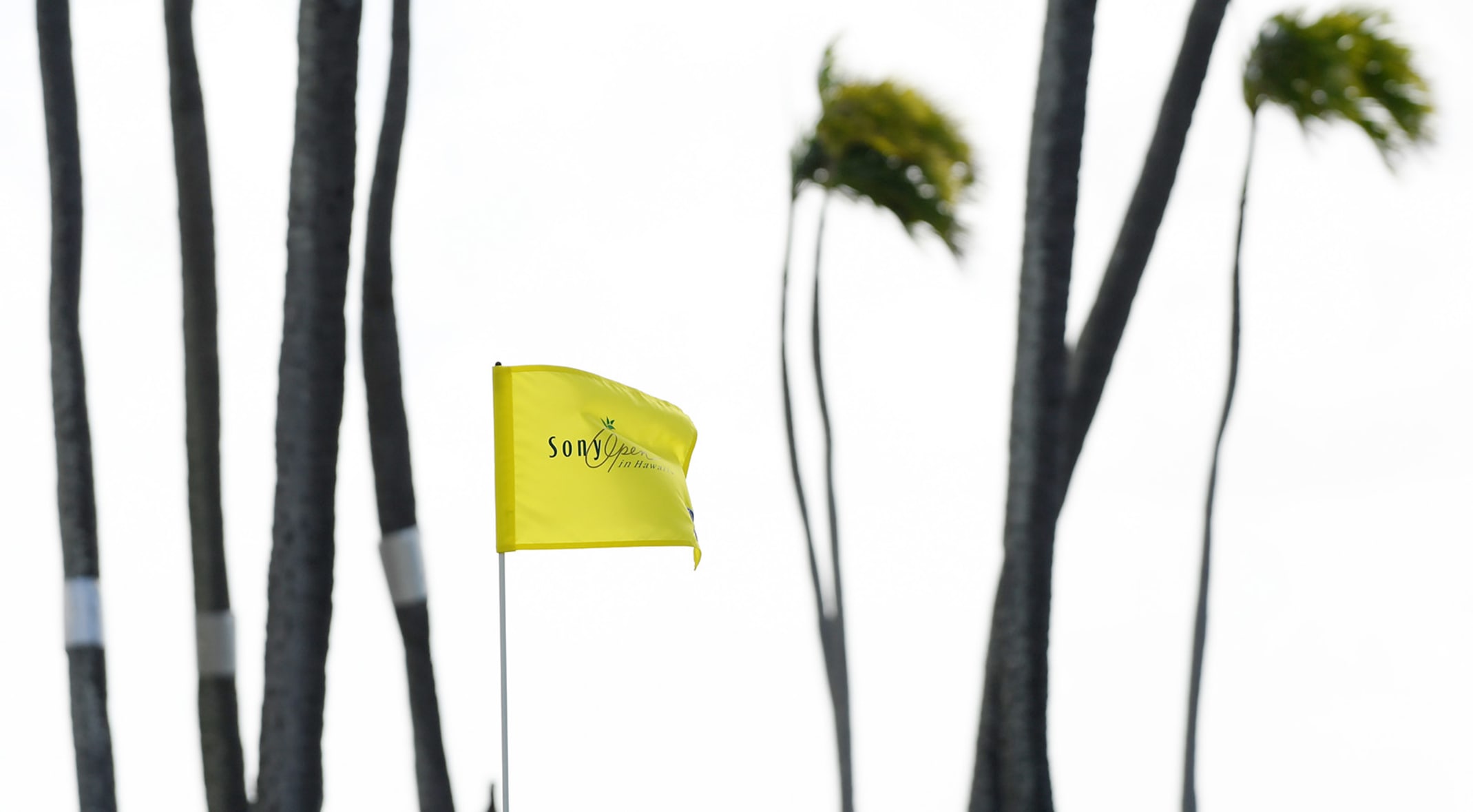 watch sony open