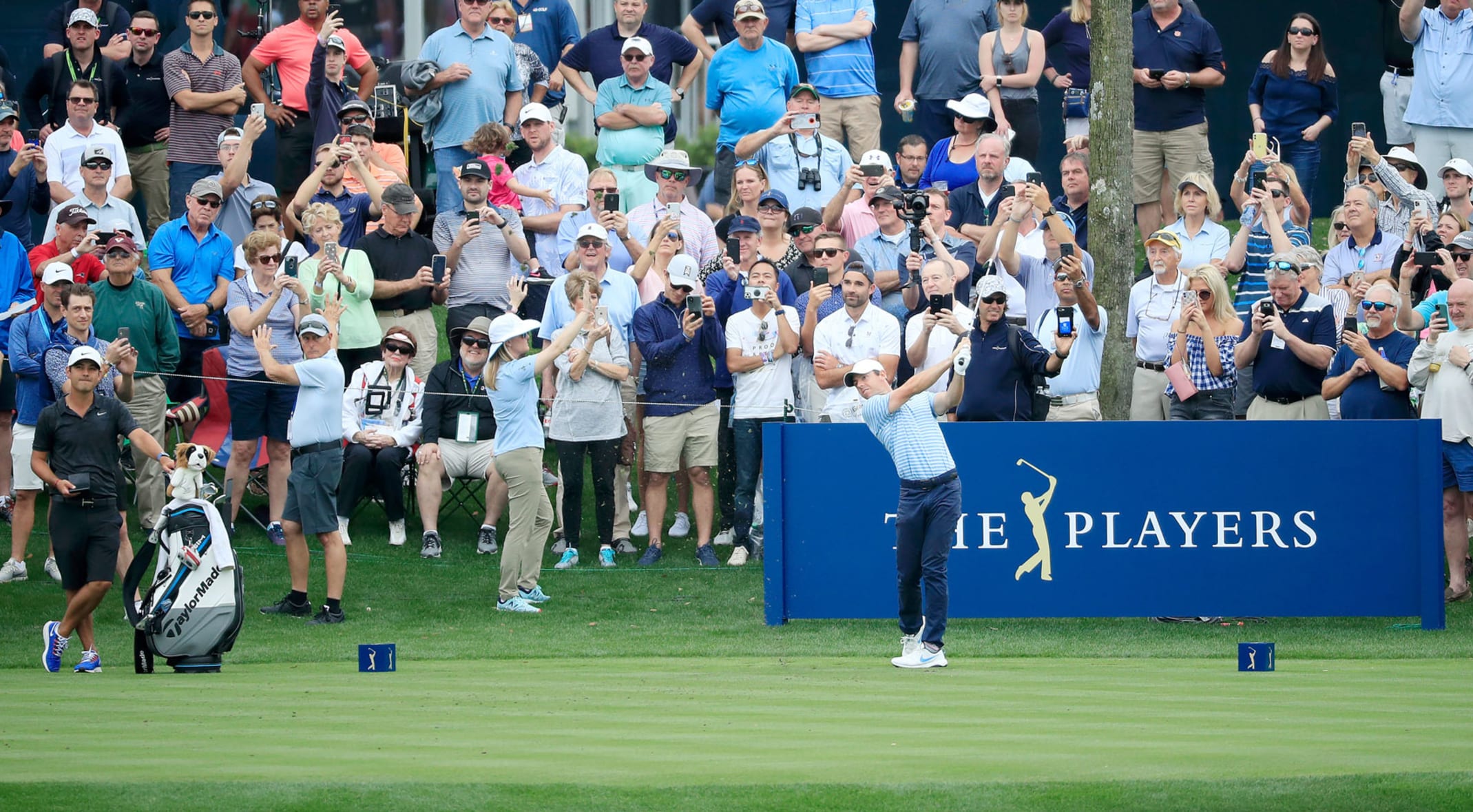 Rory Mcilroy Fake Id