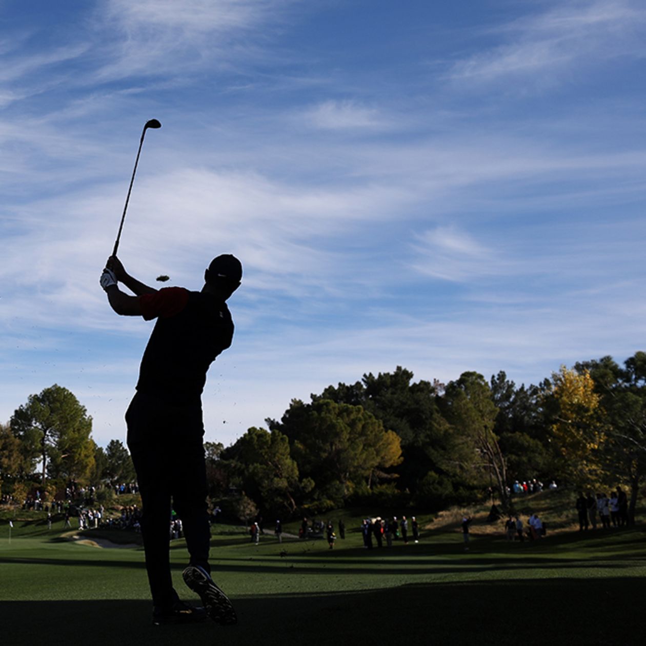 The Cj Cup