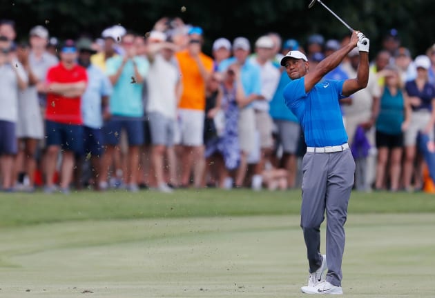 Tiger electrifies East Lake