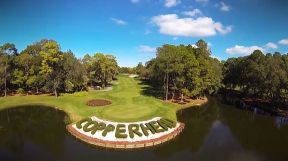 Valspar Championship 2020 / Valspar Championship Final Round / A pga