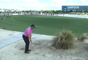Webb Simpson's crafty chip from waste area sets up impressive birdie at Hero