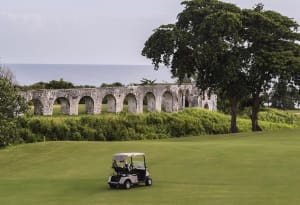 Bmw Jamaica Classic