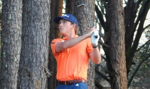 Bridgeman takes lead with holes to play in third round