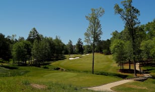 The First Look: 2020 LOCALiQ Series Championship