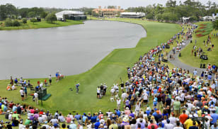 Quick look at THE PLAYERS Championship