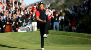 Tiger and Sherwood are a perfect match