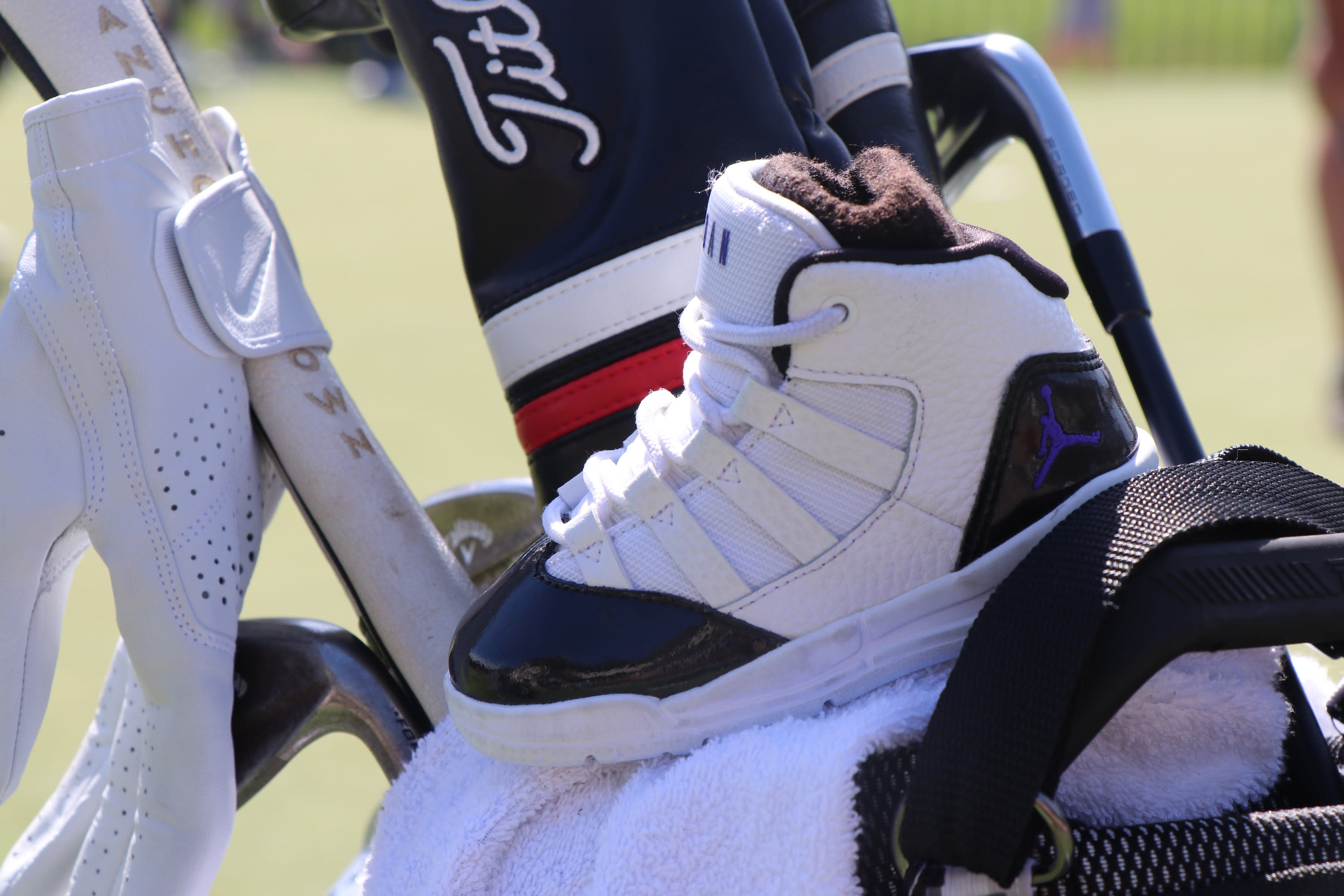 jordan shoe putter cover