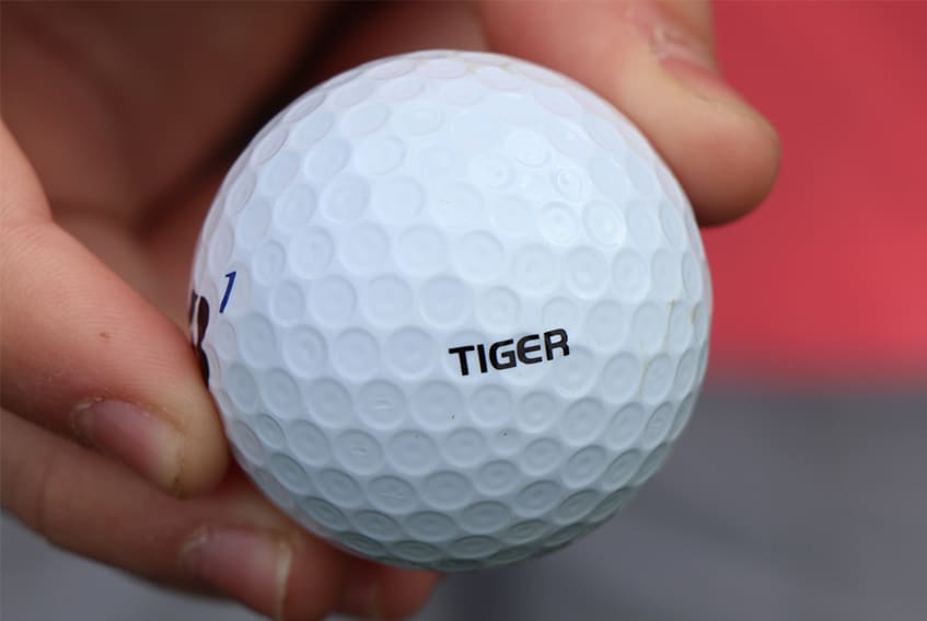 tiger woods nike golf ball