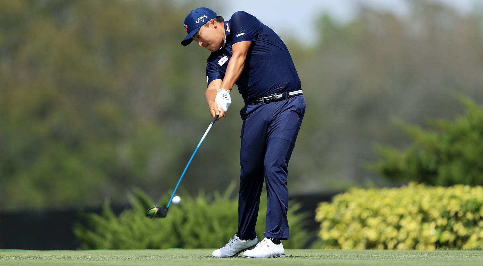 pga tour golf shorts sam's club